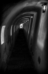 Le tunnel - Hubert Folliot